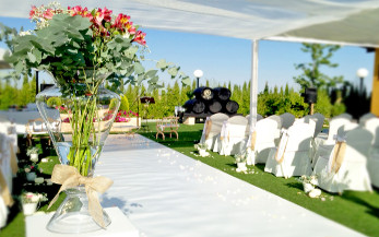 Bodas