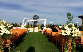 Bodas