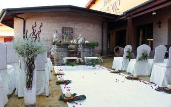 Bodas
