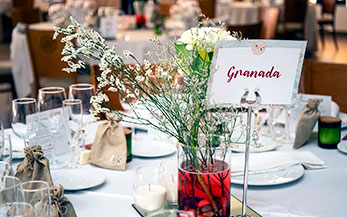 Bodas