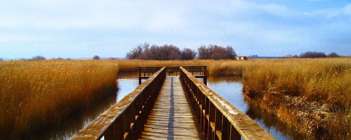 Parque Nacional Tablas de Daimiel