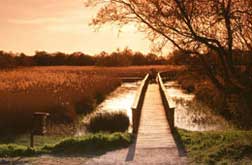 Tablas de Daimiel National Park - Hotel Château Viñasoro