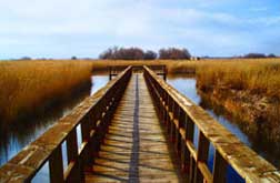 Tablas de Daimiel National Park - Hotel Château Viñasoro