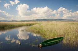 Tablas de Daimiel National Park - Hotel Château Viñasoro