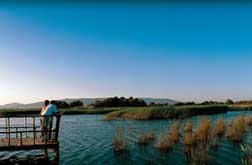 Tablas de Daimiel National Park - Hotel Château Viñasoro