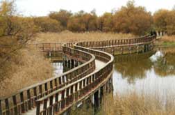 Tablas de Daimiel National Park - Hotel Château Viñasoro