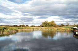 Tablas de Daimiel National Park - Hotel Château Viñasoro