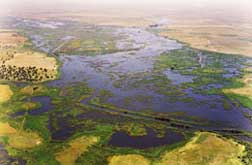 Tablas de Daimiel National Park - Hotel Château Viñasoro