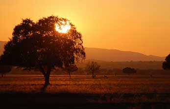 Cabañeros National Park