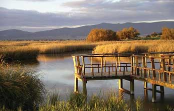 Parque Nacional Tablas de Daimiel