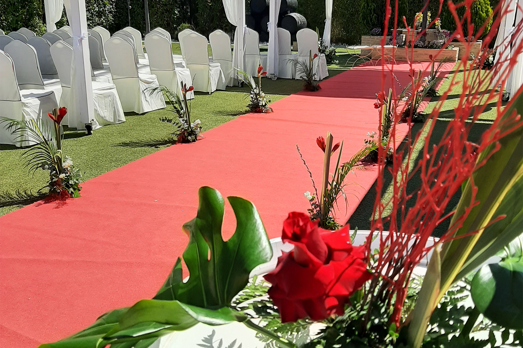 Bodas Viñasoro