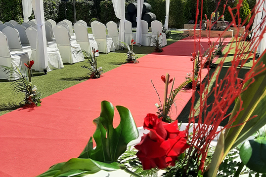 Bodas
