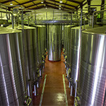 Visit the Winery